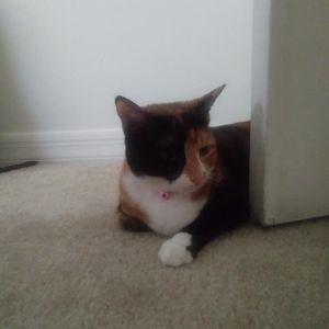 Meet your Posher, Jordan